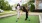 people playing bocce ball