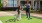 people playing bocce ball
