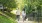 a couple walking their dog