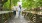a couple walking their dog